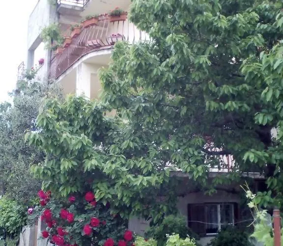 Apartman In Brodarica With Balcony, Air Conditioning, Wifi 5185-2