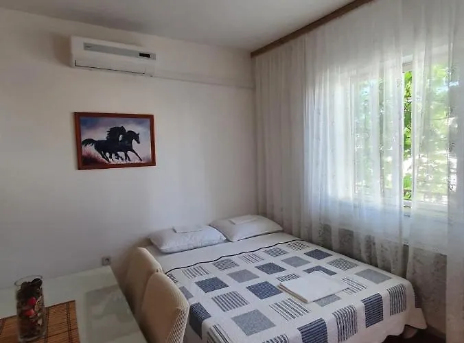 In Brodarica With Balcony, Air Conditioning, Wifi 5185-2 Šibenik